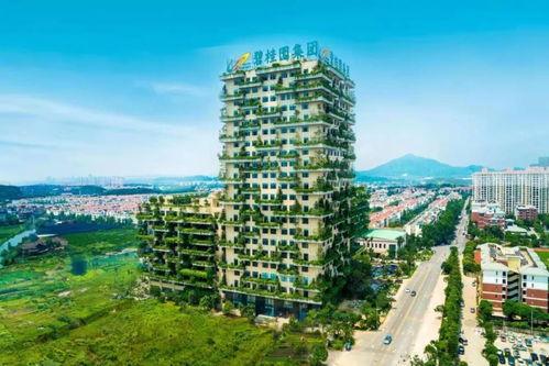 开化天悦湾最新消息爆料,揭秘项目最新进展与亮点