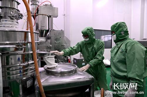 石家庄四药疫情最新爆料,追踪病毒变异与防控措施升级