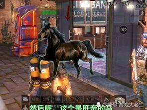 明日之后最新爆料内容是什么,新爆料揭秘神秘新内容，游戏世界即将焕然一新！