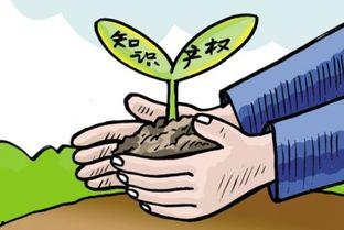 保利民宿爆料案例最新消息,最新进展揭秘事件真相