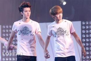 勋鹿2014最新爆料,揭秘明星背后的真实故事