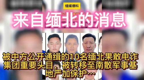 缅北最新爆料消息今天,最新爆料揭示神秘势力动向