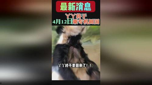 熊猫yy最新爆料消息