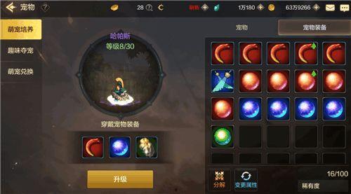 地下城勇士手游宠物最新爆料,神秘伙伴即将降临，战力升级指日可待！