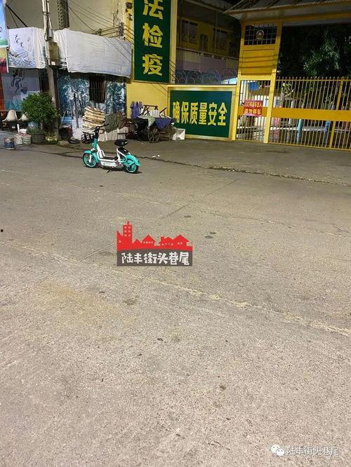 陆丰东海爆料网最新消息,热点事件追踪报道