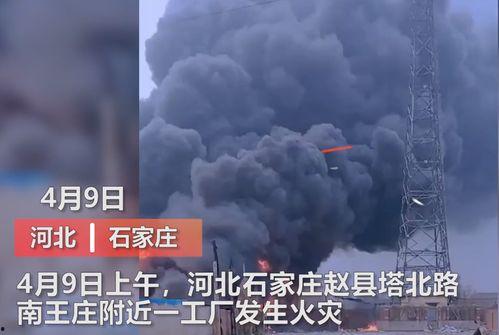 湖南工厂爆料视频最新版,揭秘生产线背后的真相