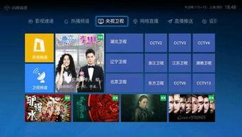 最新龙吟爆料新闻直播,揭秘神秘直播背后的精彩瞬间